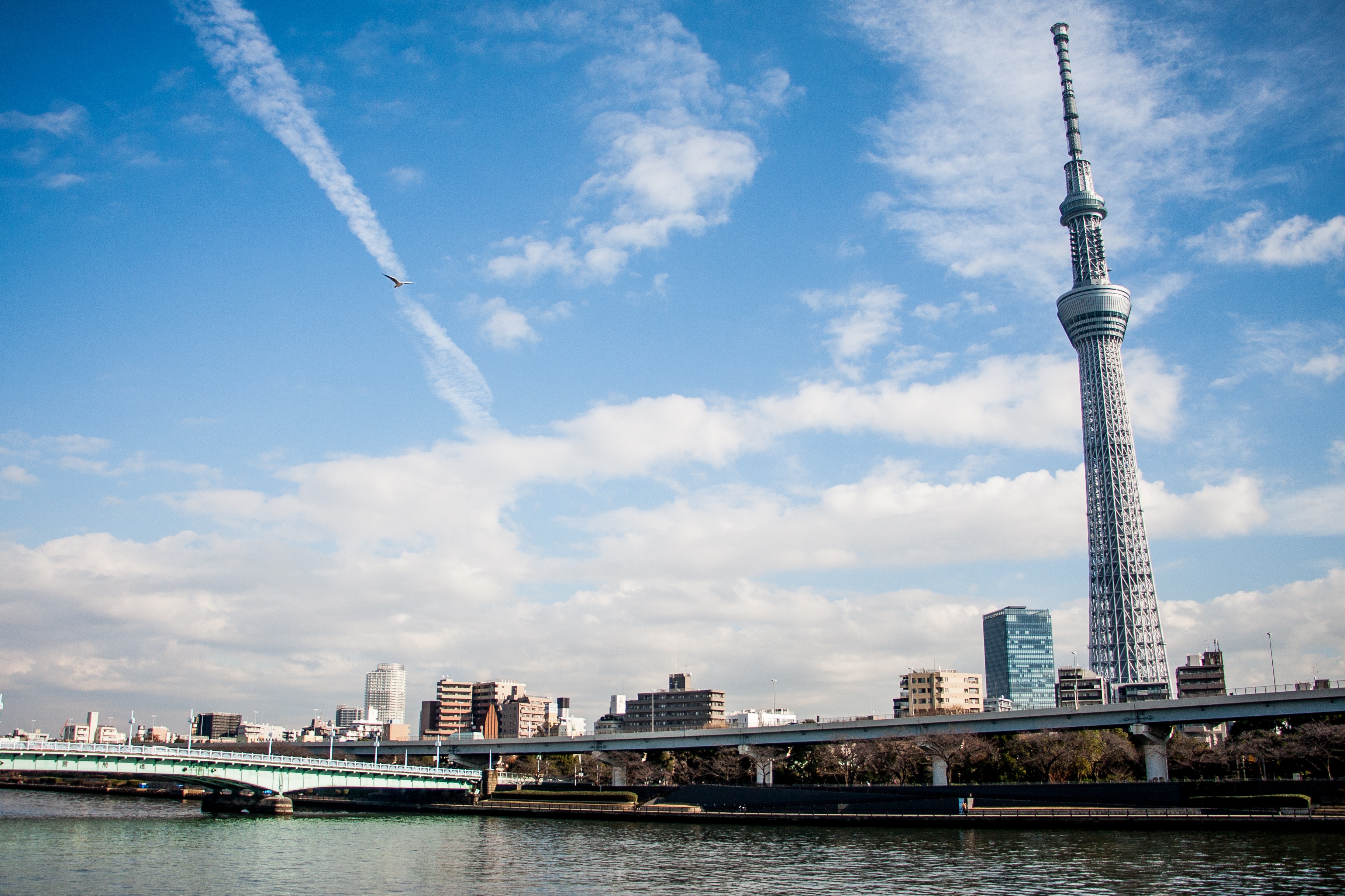 Nature of Tokyo Skytree